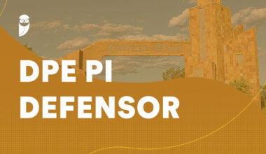 concurso DPE PI Defensor