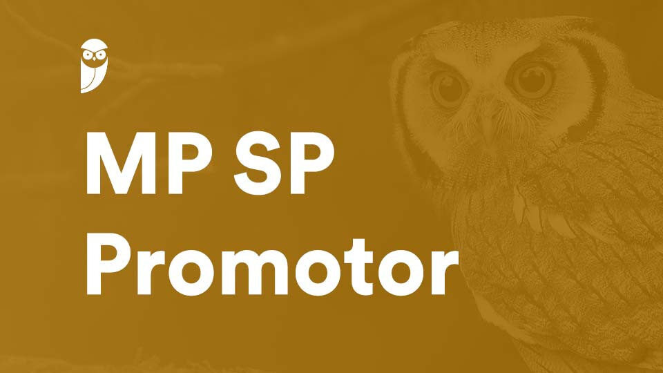 Quais materiais posso usar na prova escrita MP SP Promotor?