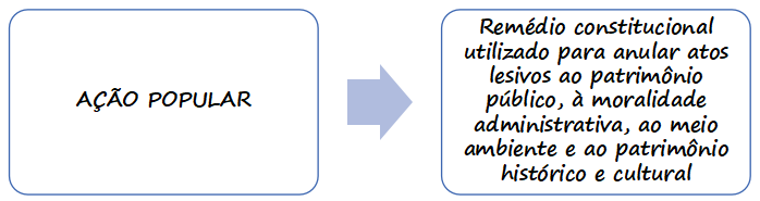 ação popular