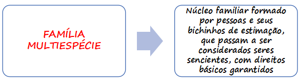 Família multiespécie