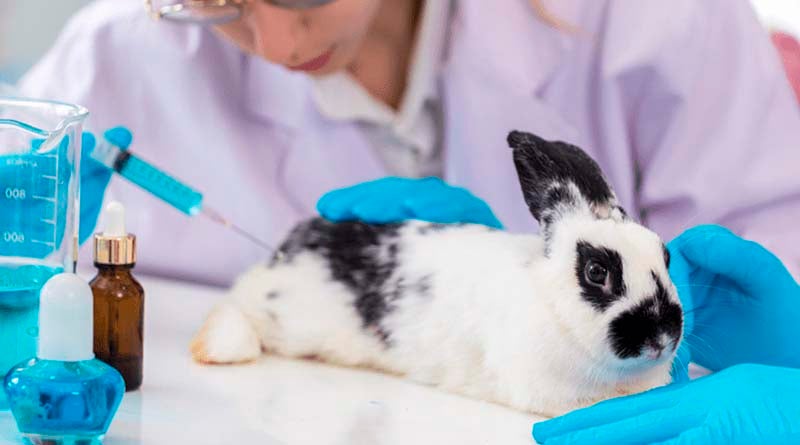 Proibição de animais em testes de cosméticos
