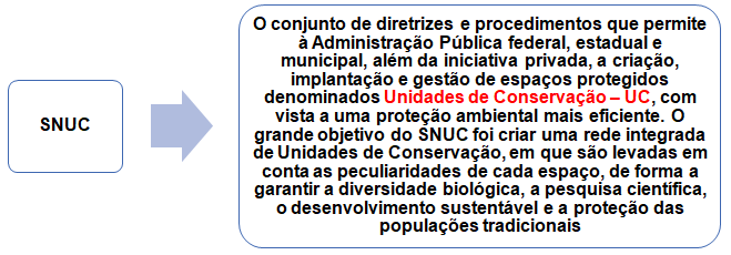Crime ambiental