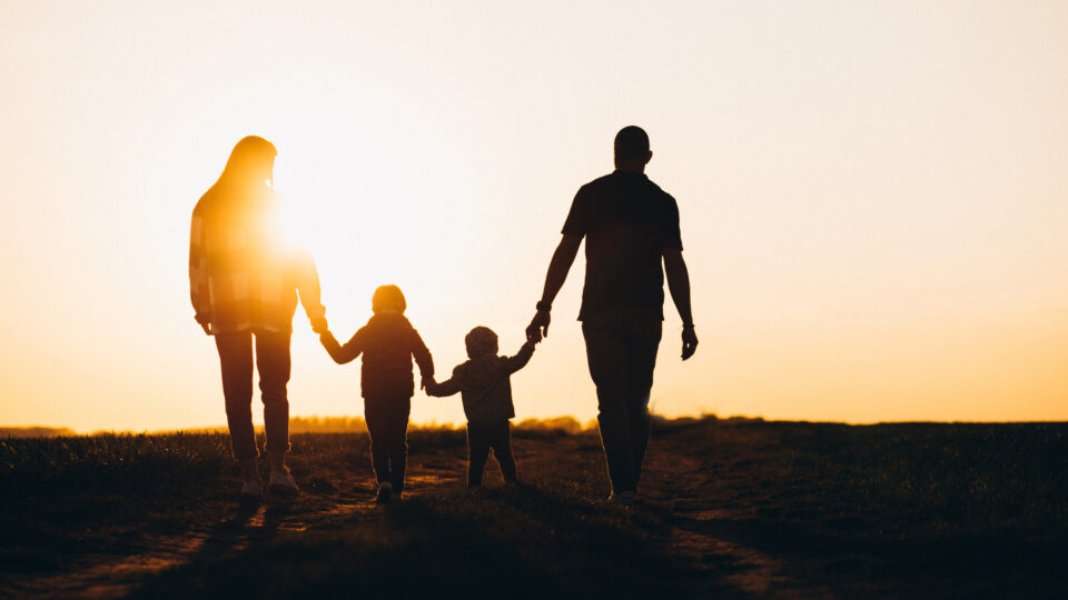 Família Substituta vs. Família Extensa: STJ define quando a afetividade supera o parentesco no ECA