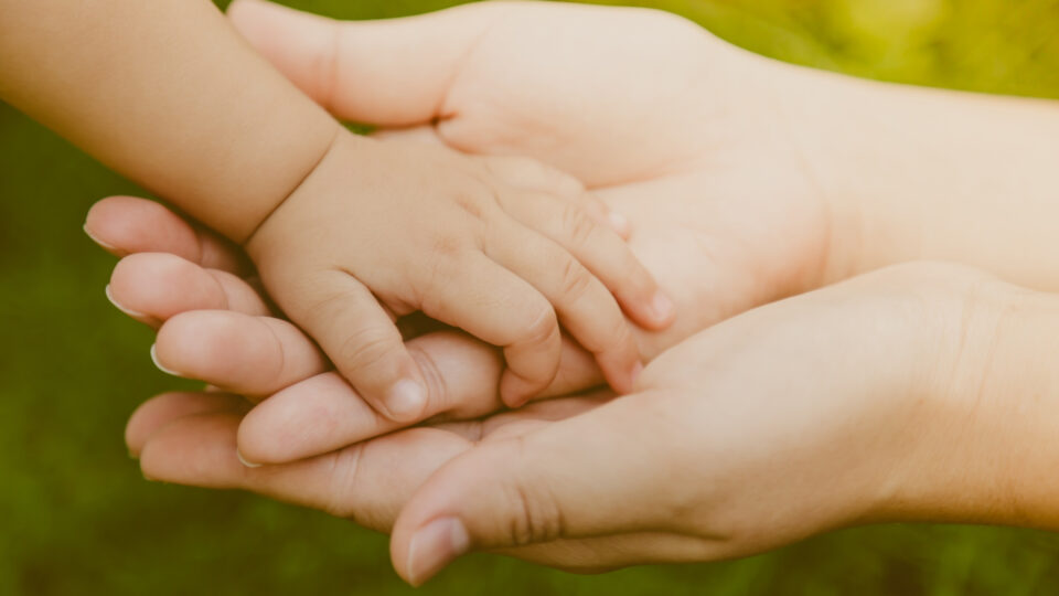 Pensão especial para órfãos do feminicídio Pensão especial para órfãos do feminicídio