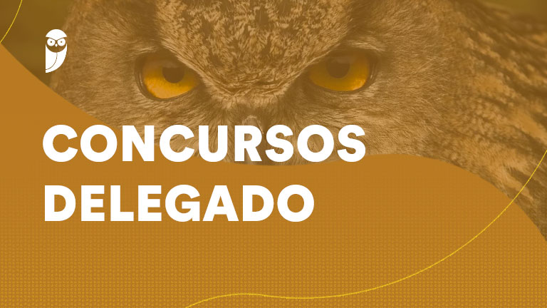 Delegado RJ: o que falta para sair o concurso com 85 vagas e salário de R$ 26 mil?