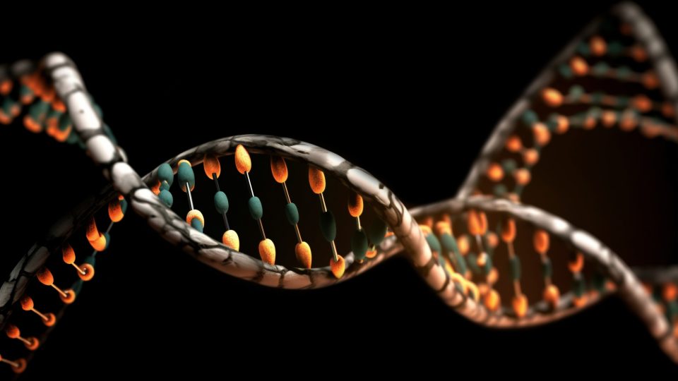 Lei 15.295/25 muda tudo sobre coleta de DNA na Execução Penal: o que você precisa saber para acertar na prova