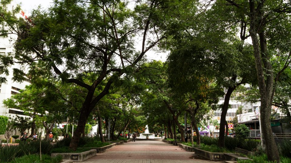 Art. 49 da Lei de Crimes Ambientais após a Lei 15.299/2025: análise dogmática do tipo penal e das inovações legislativas