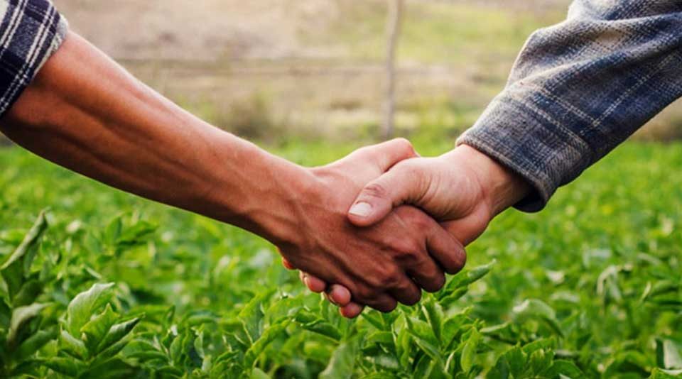 O direito de preferência no arrendamento rural