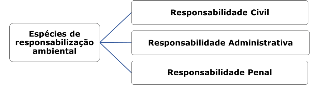 Espécies de responsabilização ambiental